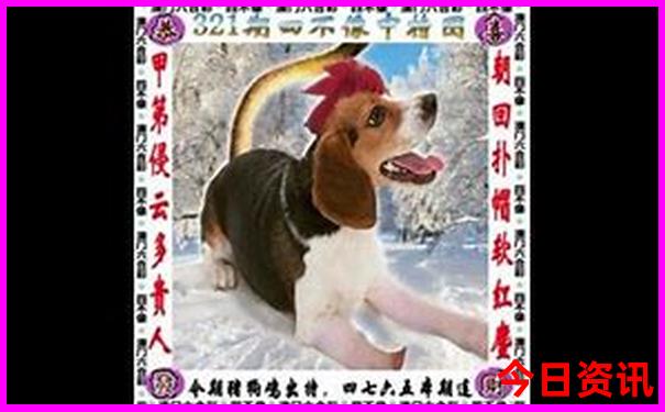 哈尔滨十大免费景区